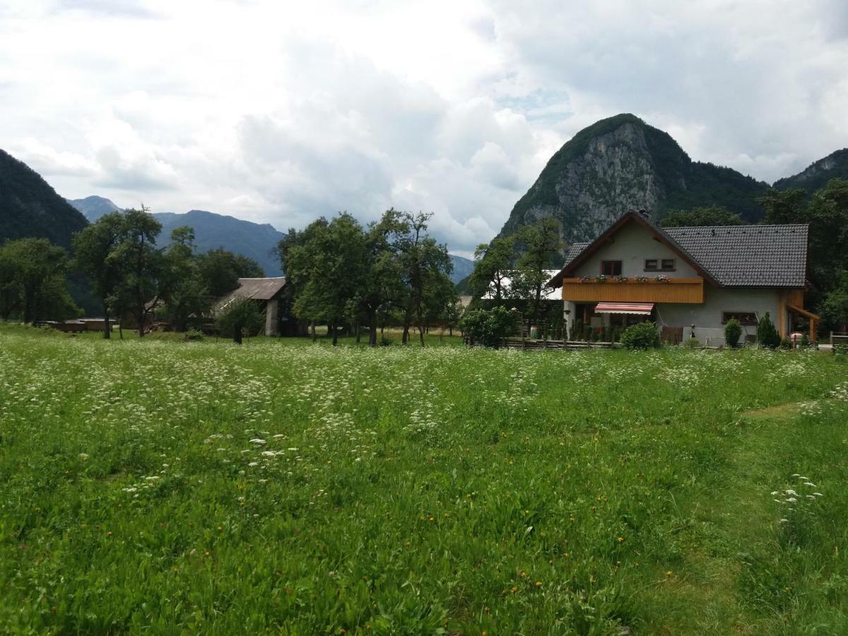 Apartmaji Bremec Bohinj Esterno foto